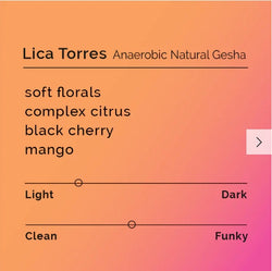Lica Torres Anaerobic Natural Gesha *LIMITED EDITION* Kyoto Black Cold Brew