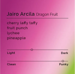 Jairo Arcila - Dragonfruit  *LIMITED EDITION* Kyoto Black Cold Brew