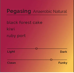 Pegasing Anaerobic Natural *LIMITED EDITION* Kyoto Black Cold Brew